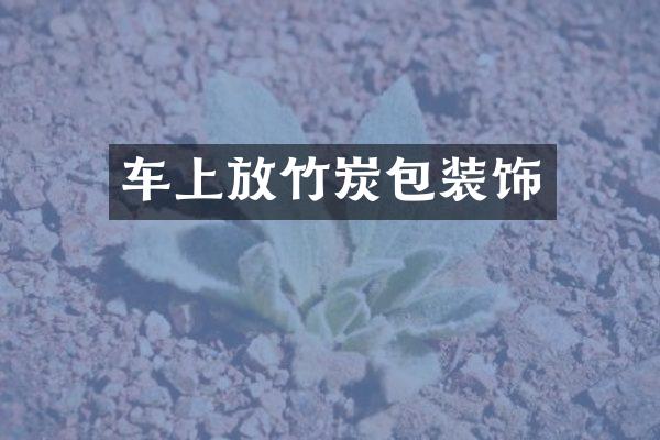 车上放竹炭包装饰