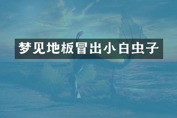 梦见地板冒出小白虫子
