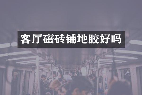客厅磁砖铺地胶好吗