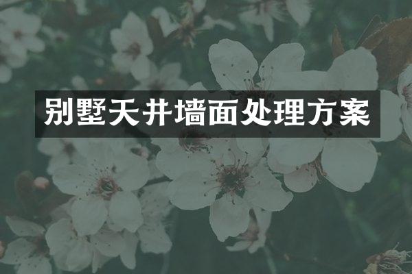 别墅天井墙面处理方案