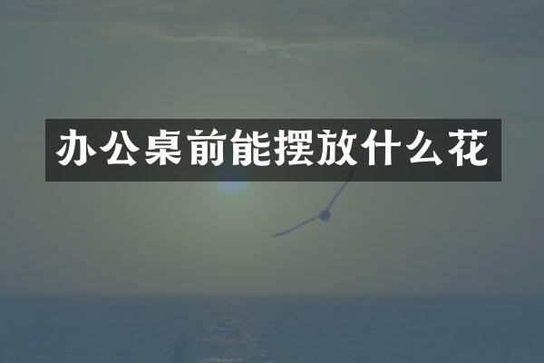 办公桌前能摆放什么花