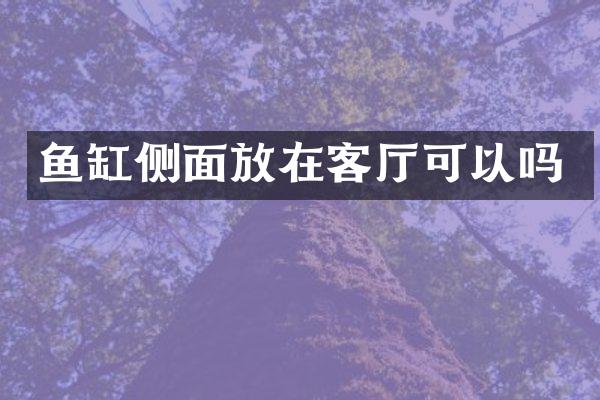 鱼缸侧面放在客厅可以吗