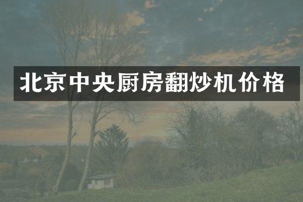 北京中央厨房翻炒机价格