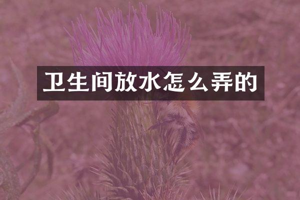 卫生间放水怎么弄的