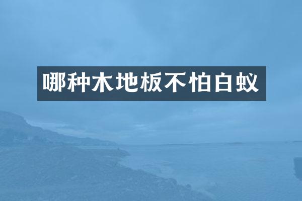 哪种木地板不怕白蚁
