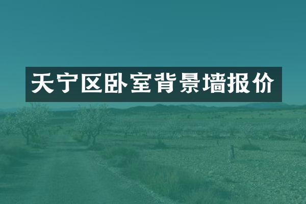 天宁区卧室背景墙报价