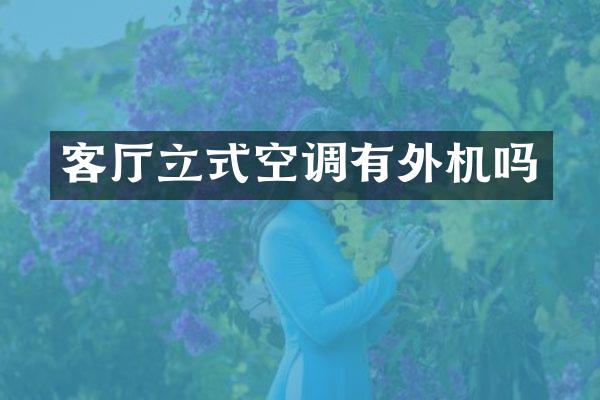 客厅立式空调有外机吗