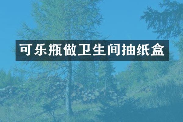 可乐瓶做卫生间抽纸盒