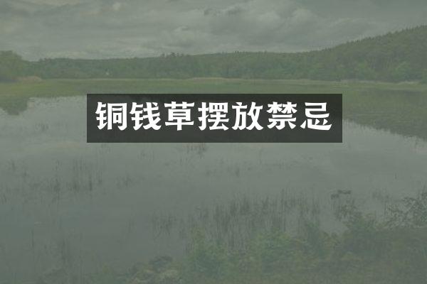 铜钱草摆放禁忌