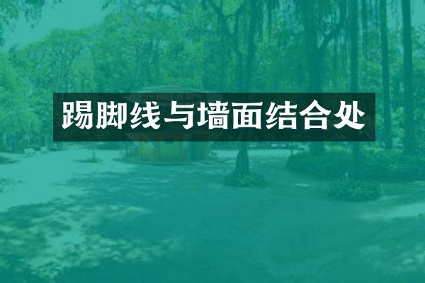 踢脚线与墙面结合处