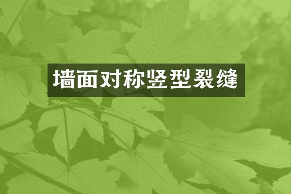 墙面对称竖型裂缝