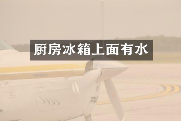 厨房冰箱上面有水