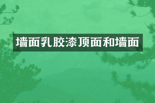 墙面乳胶漆顶面和墙面