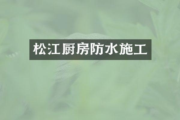 松江厨房防水施工