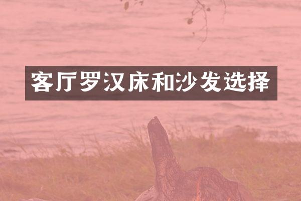 客厅罗汉床和沙发选择