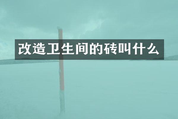 改造卫生间的砖叫什么