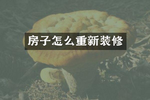 房子怎么重新装修