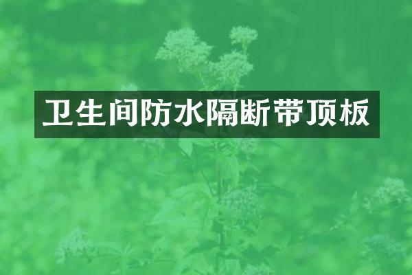 卫生间防水隔断带顶板