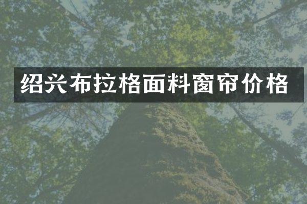 绍兴布拉格面料窗帘价格