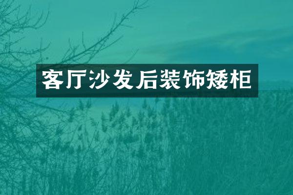 客厅沙发后装饰矮柜