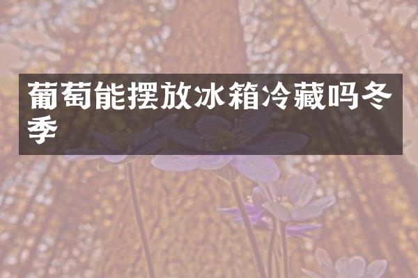 葡萄能摆放冰箱冷藏吗冬季
