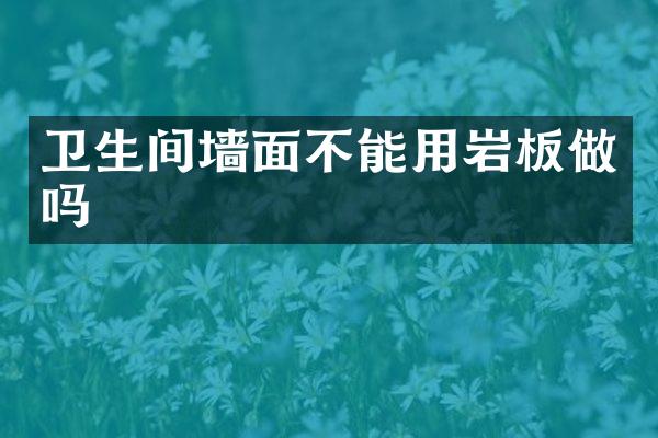 卫生间墙面不能用岩板做吗
