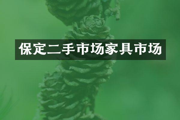 保定二手市场家具市场