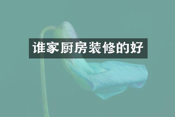 谁家厨房装修的好