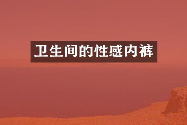 卫生间的性感内裤