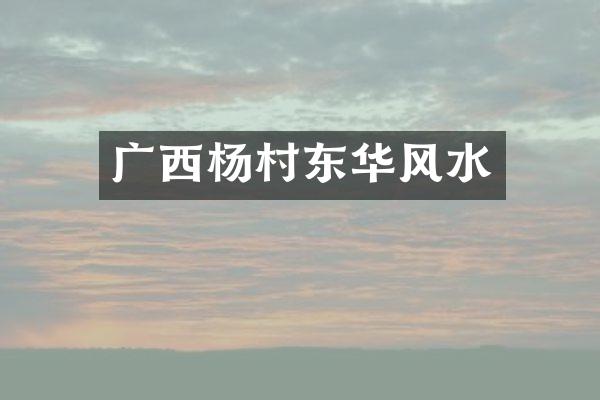 广西杨村东华风水