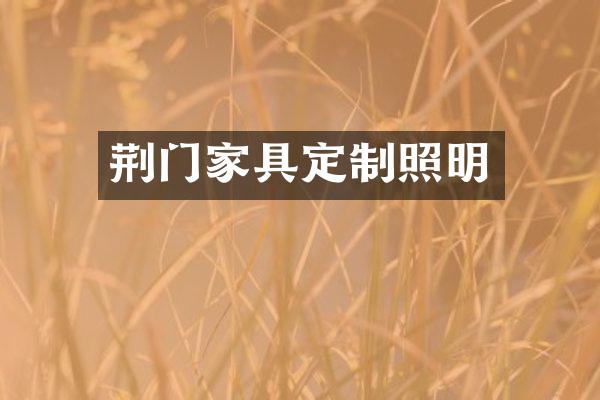 荆门家具定制照明