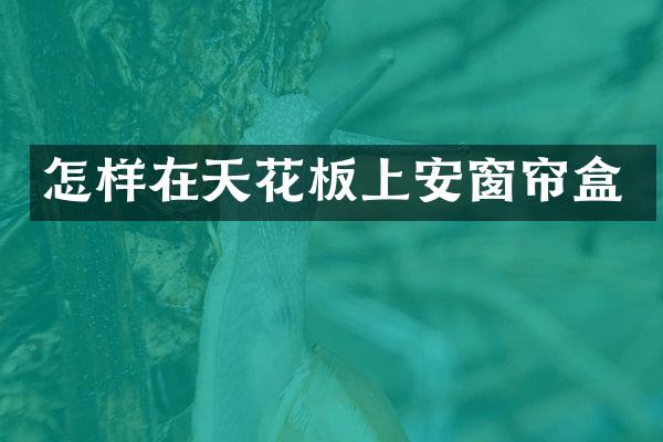 怎样在天花板上安窗帘盒