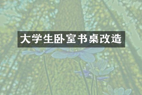 大学生卧室书桌改造