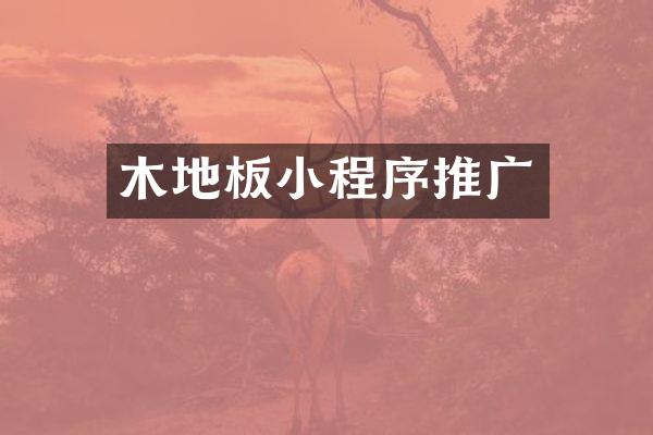 木地板小程序推广