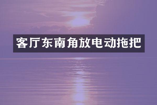 客厅东南角放电动拖把