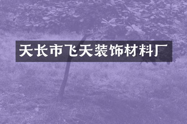 天长市飞天装饰材料厂