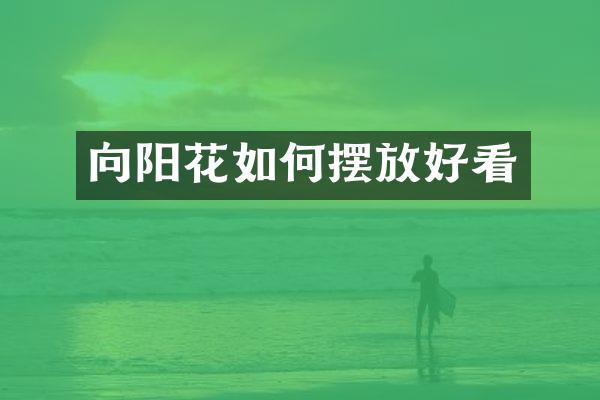 向阳花如何摆放好看