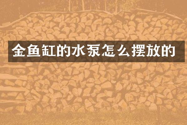 金鱼缸的水泵怎么摆放的