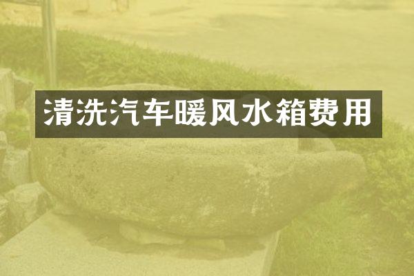 清洗汽车暖风水箱费用