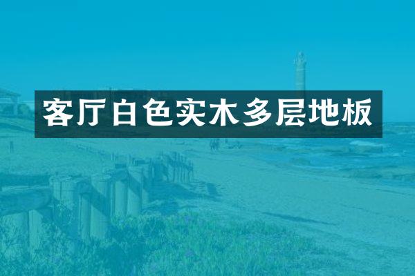 客厅白色实木多层地板