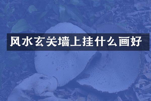 风水玄关墙上挂什么画好