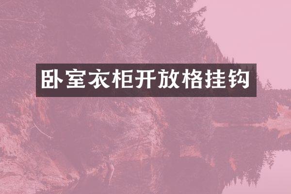 卧室衣柜开放格挂钩