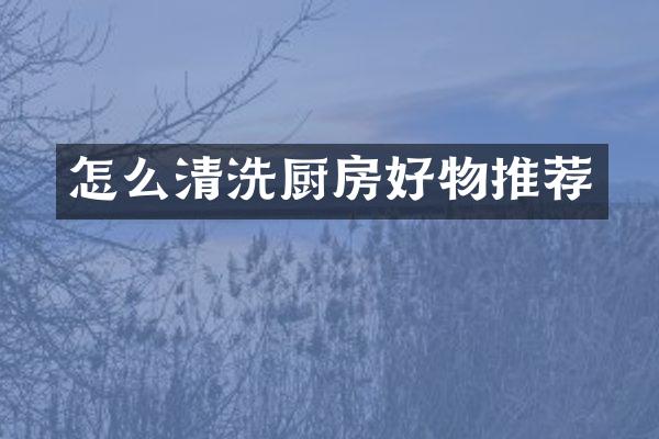 怎么清洗厨房好物推荐