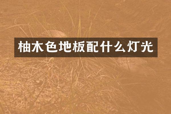 柚木色地板灯光