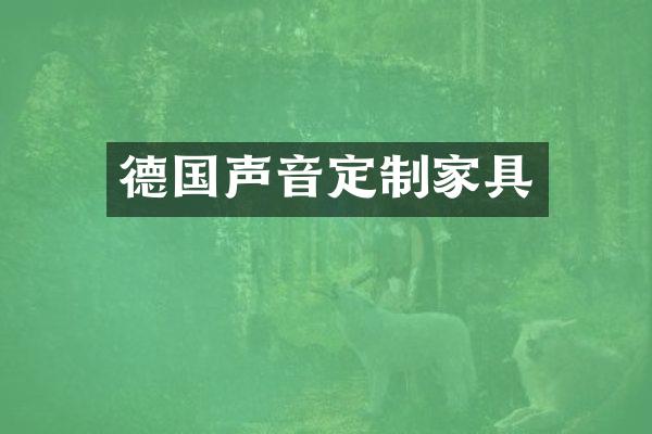 德国声音定制家具