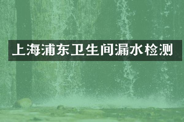 上海浦东卫生间漏水检测