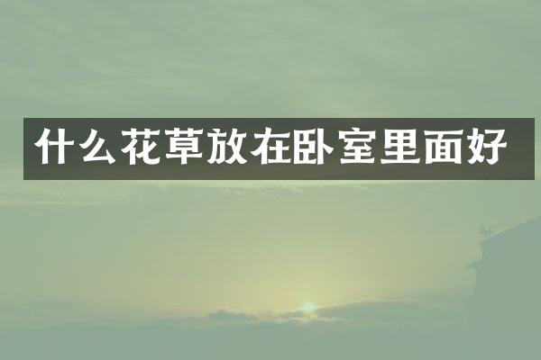 什么花草放在卧室里面好