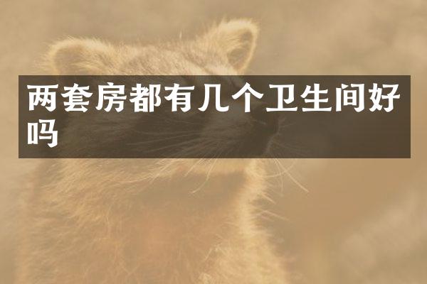 两套房都有几个卫生间好吗