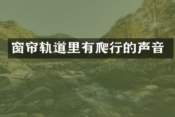 窗帘轨道里有爬行的声音