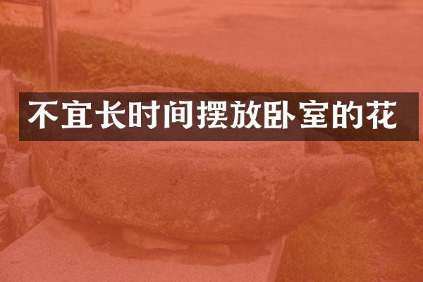不宜长时间摆放卧室的花